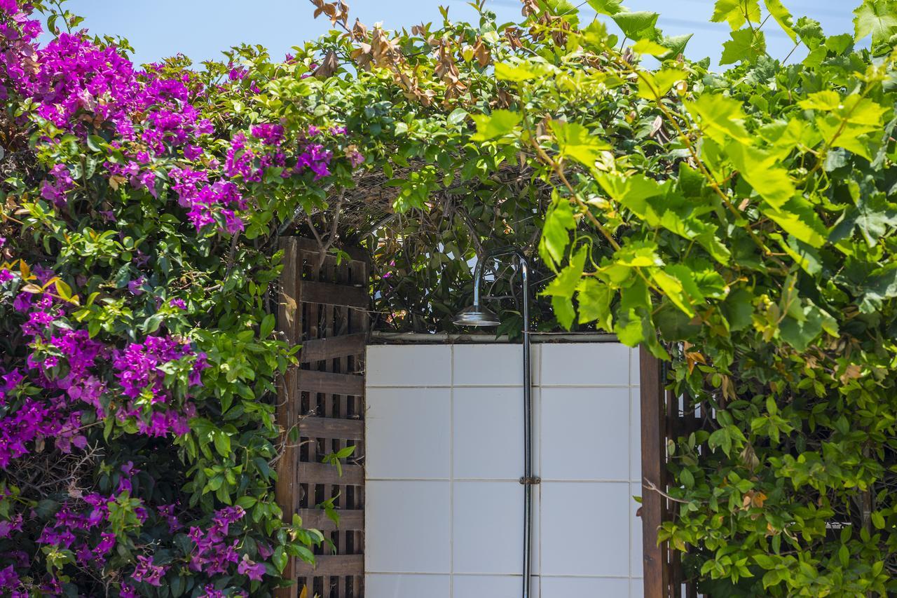 Villa Elias Ayia Napa Exteriér fotografie